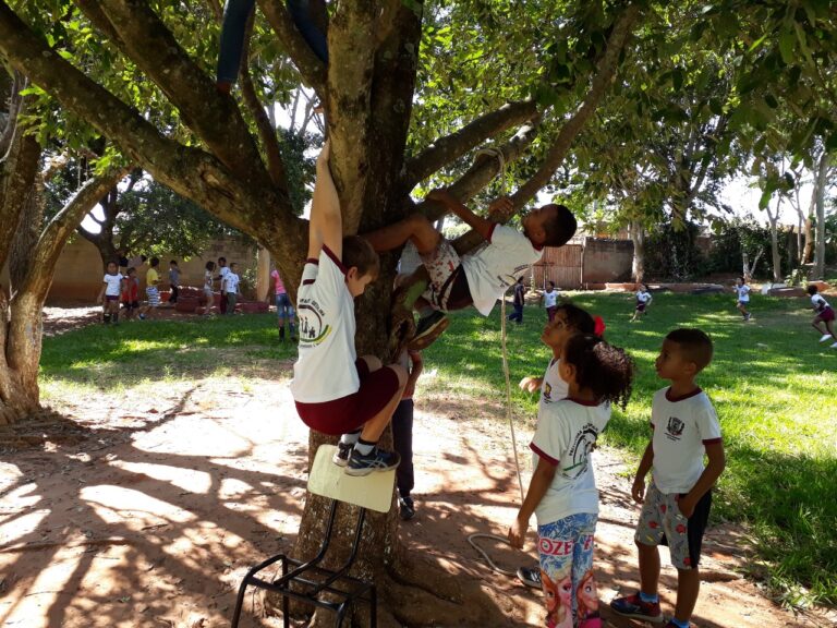 Imagem do WhatsApp de 2024-02-01 à(s) 13.40.23_8dfc9594