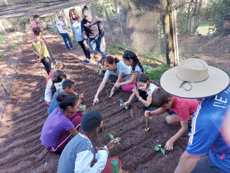 Imagem do WhatsApp de 2024-02-01 à(s) 13.43.28_ea753515